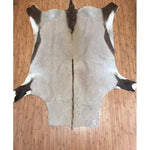 FULL HIDE - Gemsbok - Trophy Room Collection 