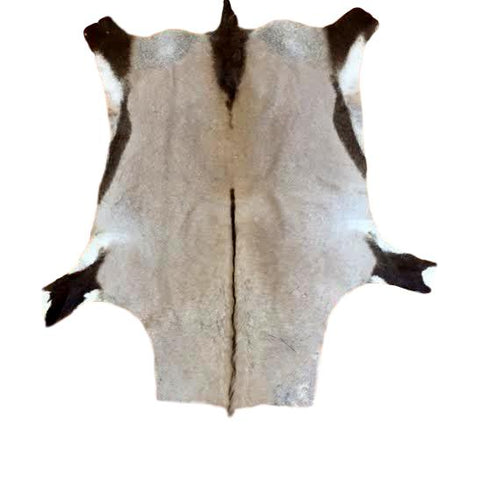懸賞当選品　UV　雑誌 BIG ピック ピック hide hide レア Gemsbok_Hide_clipped_rev_1_lar