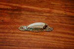 WARTHOG TUSK - Kitchen Door Pull Handle - Trophy Room Collection 