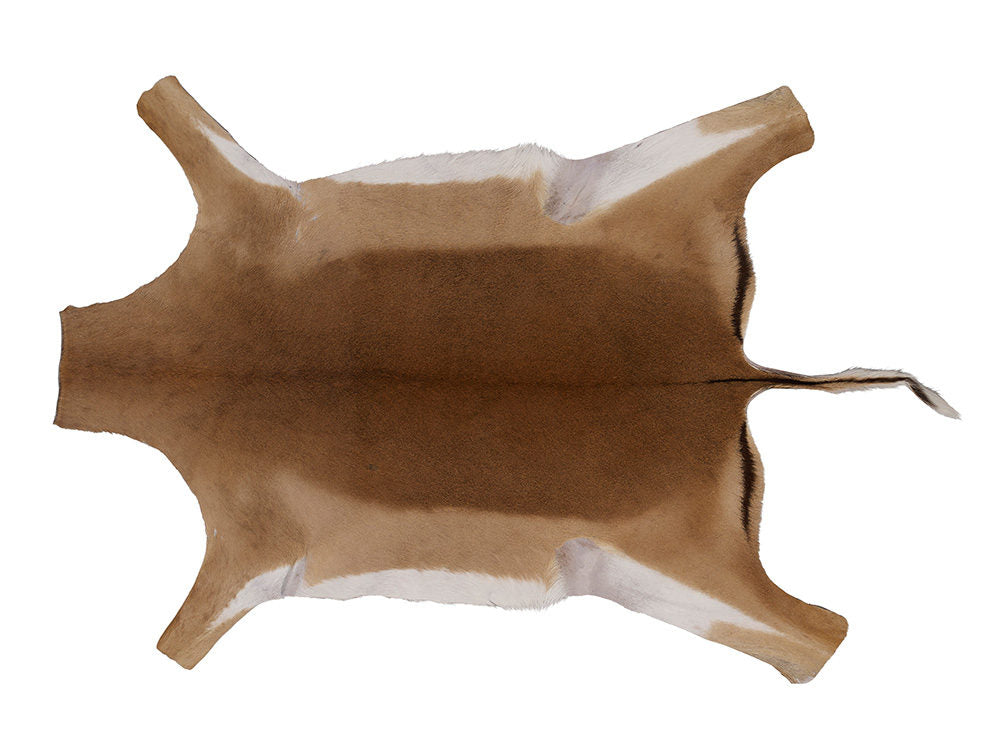 Impala Collection Rug FULL HIDE - Impala – Trophy Room Collection