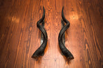 KUDU HORN Door Handle - 24" or 30" - Trophy Room Collection 