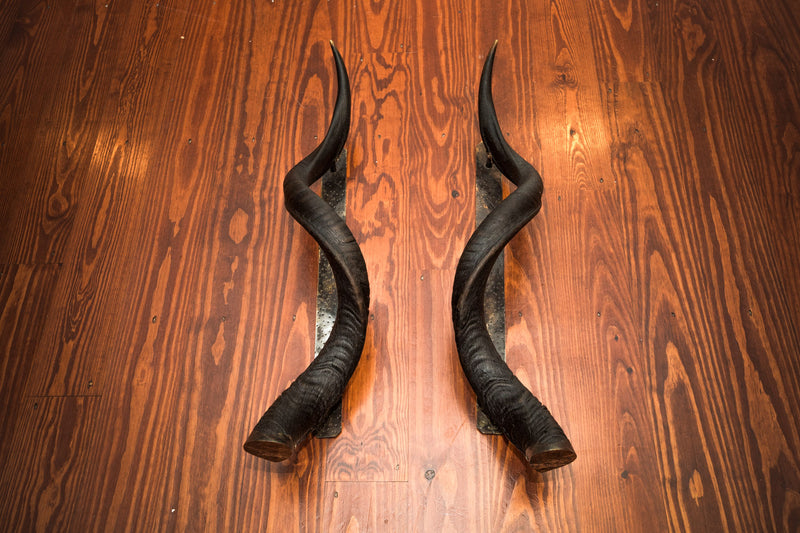 KUDU HORN Door Handle - 24" or 30" - Trophy Room Collection 