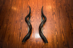 KUDU HORN Door Handle - 24" or 30" - Trophy Room Collection 