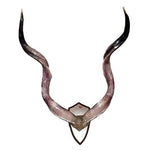 Kudu Horn Mount - Trophy Room Collection 