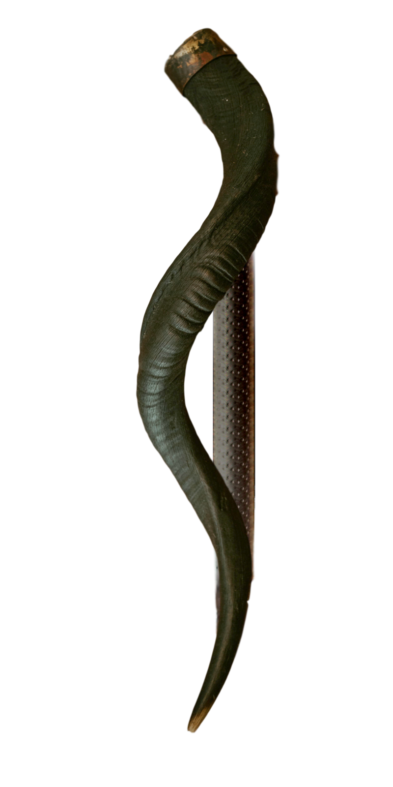 KUDU HORN Door Handle - 24" or 30" - Trophy Room Collection 