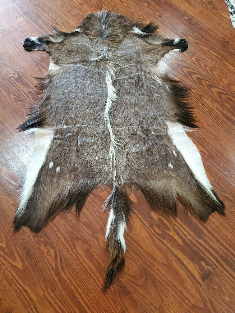 Nyala  Skin Rug Natural 