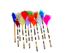 PORCUPINE - Quill Pen with Ostrich Feather - Trophy Room Collection 