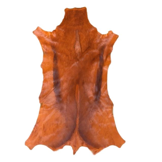 SPRINGBOK FULL HIDE - DYED - Trophy Room Collection 