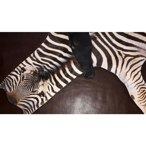 **New backing With Piping** - Trophy Room Collection 