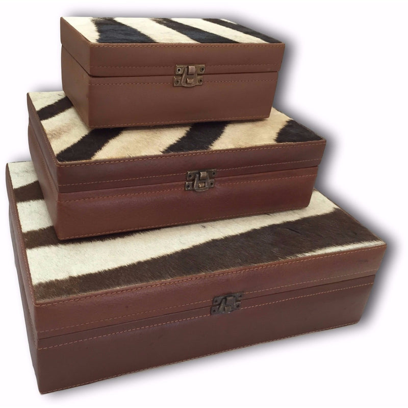 ZEBRA - Stationary/Cigar Box - Trophy Room Collection 