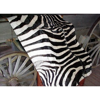 Zebra Upholstery - Trophy Room Collection 