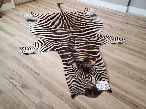 Zebra Skin Rug
