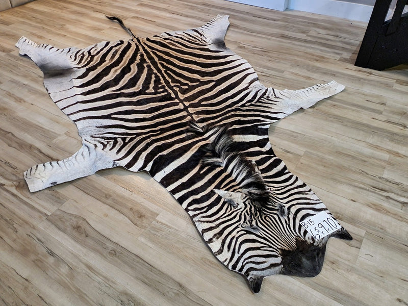 B Grade Zebra Skin Rug - B15