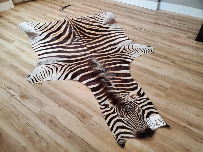 B Grade Zebra Skin Rug - B6