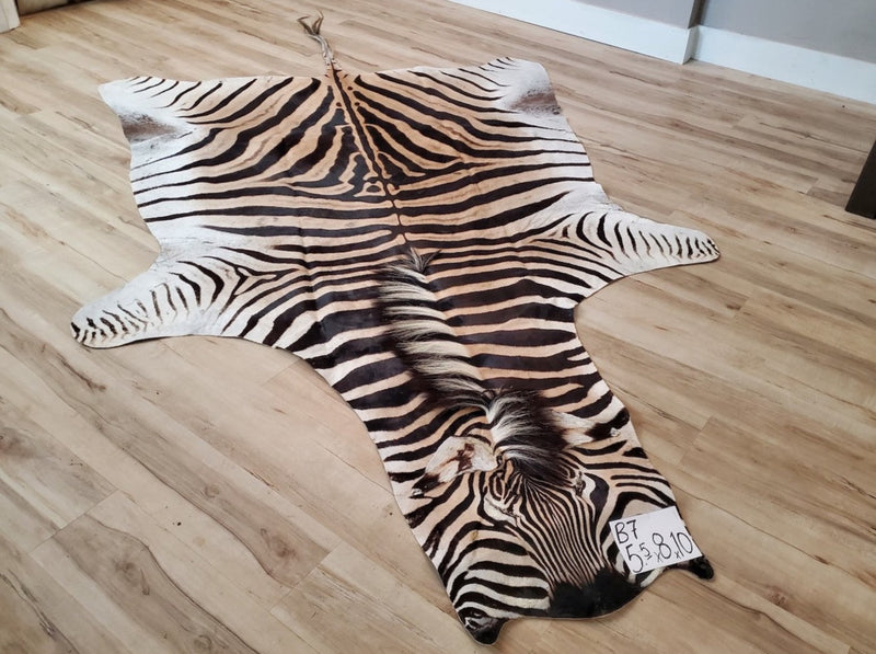 zebra rug