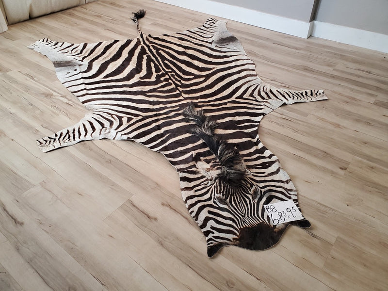 B Grade Zebra Skin Rug - B8