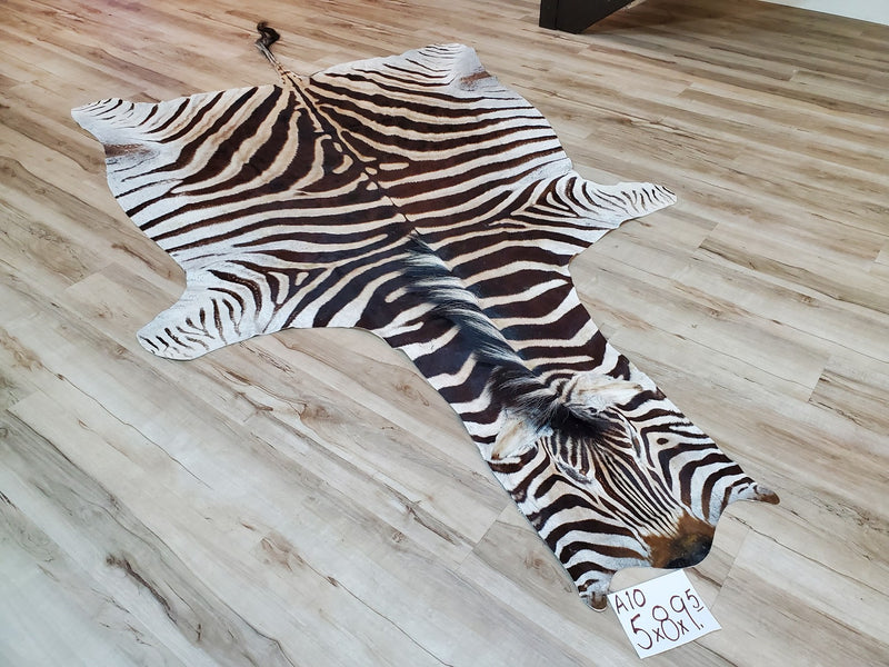 A Grade Zebra Skin Rug- A10