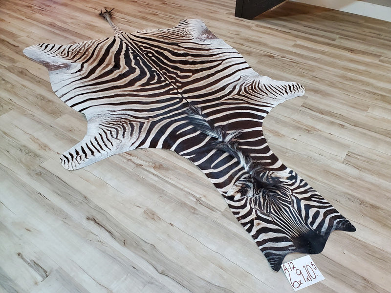 A Grade Zebra Skin Rug- A12