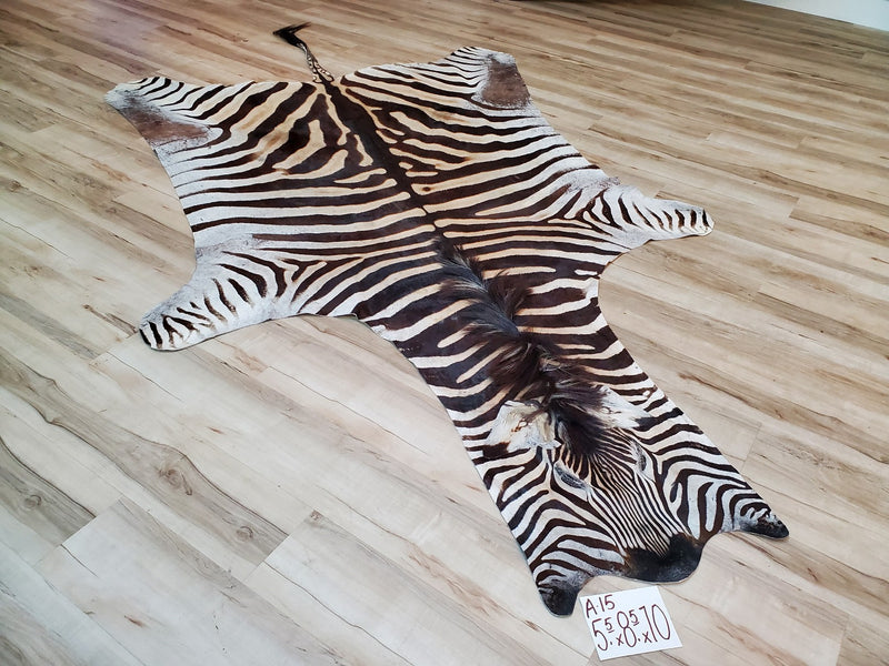 A Grade Zebra Skin Rug- A15