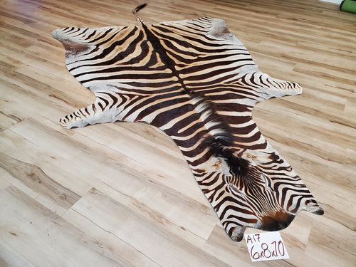 Authentic Zebra Skin Rug - Zebra Rugs for Sale | Trophy Room Collection ...