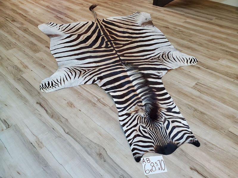 A Grade Zebra Skin Rug- A8