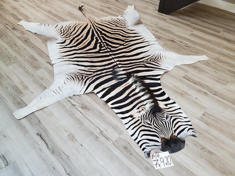 Premium Zebra Skin Rug- P14