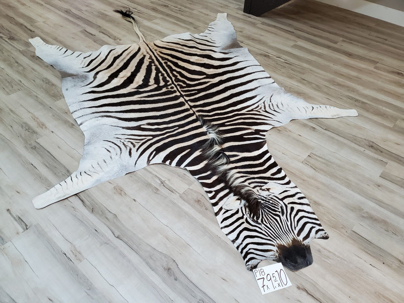 Premium Zebra Skin Rug- P18