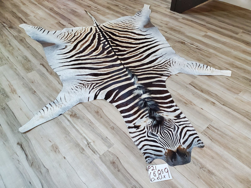 Premium Zebra Skin Rug- P21